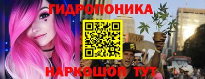 apvp Аргун