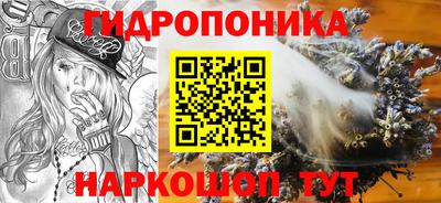 apvp Аргун