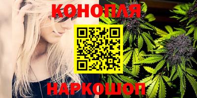 apvp Аргун