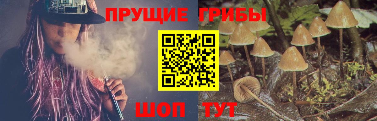 где продают наркотики  Псилоцибиновые грибы прущие грибы  Псилоцибиновые грибы мухоморы  Вход с VPN  Брянск 